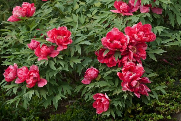 How can you incorporate smart technology in UK home design?